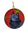 Carolines Treasures LH9339 CO1 Schipperke Multicolor