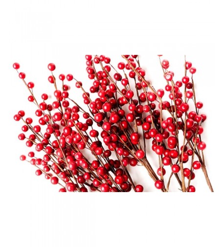 CraftMore Set Red Berry Picks