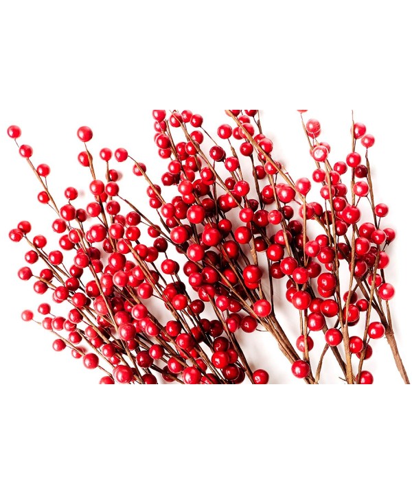 CraftMore Set Red Berry Picks