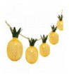 Betus Pineapple Fairy String Light