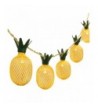 Betus Pineapple Fairy String Light