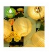 Ledgle Lanterns Battery Dimmable Lighting