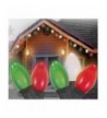 Northlight Opaque Clear Christmas Lights