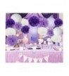 Furuix Decorations Lavender Lanterns Birthday