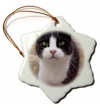 Fashion Christmas Ornaments On Sale