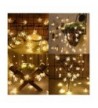 Latest Seasonal Lighting Online