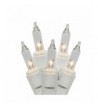 Mainstays 100 Clear mini lights