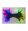 Indoor String Lights Wholesale