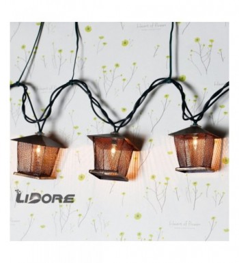 Brands Indoor String Lights Wholesale