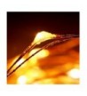 Latest Seasonal Lighting Outlet Online