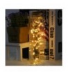 Trendy Indoor String Lights Outlet Online