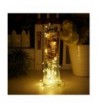 Seasonal Lighting Wholesale