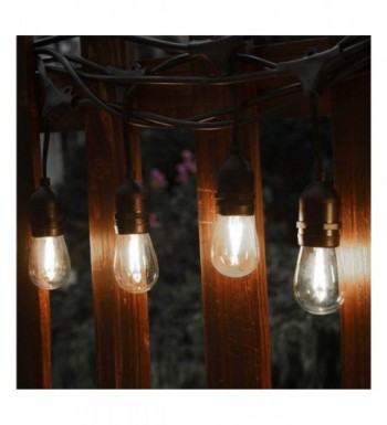 Trendy Outdoor String Lights