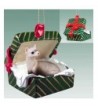 Ferret Gift Box Christmas Ornament