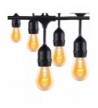 Commercial AMLIGHT Weatherproof Lighting Strands