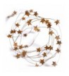 RUSTY TIN BARN STAR GARLAND