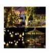 Fashion Seasonal Lighting Wholesale