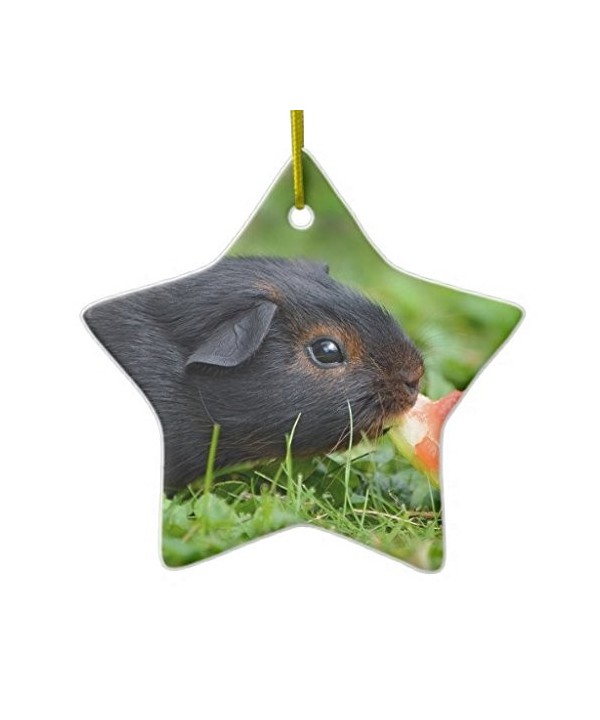 Guinea DoubleSided Ceramic Christmas Ornament