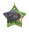 Guinea DoubleSided Ceramic Christmas Ornament