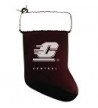 Central Michigan University Chirstmas Stocking