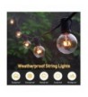 Designer Seasonal Lighting