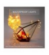 Most Popular Seasonal Lighting Outlet
