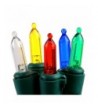 hykolity Multi Color Christmas Lights