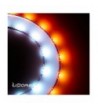 LIDORE Copper String Lights