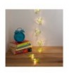 Fashion Indoor String Lights Clearance Sale