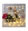 Indoor String Lights Online