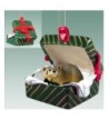 Badger Gift Box Christmas Ornament