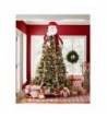 Cheap Designer Seasonal Decorations for Sale