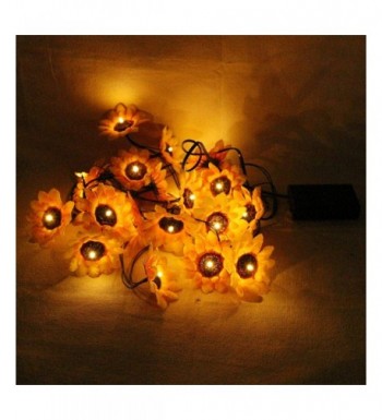 Cheap Designer Indoor String Lights On Sale