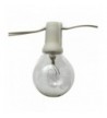 Designer Indoor String Lights Clearance Sale