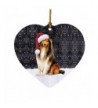 Christmas Holiday Collie Wearing Ornament