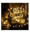 New Trendy Seasonal Lighting Online Sale