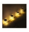 Brands Indoor String Lights On Sale