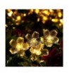 Blossoms Outdoor Powered Waterproof Decorations