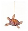 Cozumel Turtle Hanging Christmas Ornament