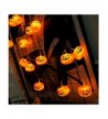 Discount Seasonal Lighting Online Sale