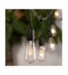 Most Popular Seasonal Lighting On Sale