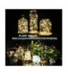 Designer Seasonal Lighting Online