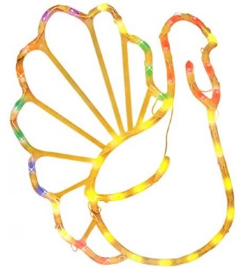 Impact Innovations Thanksgiving Lighted Decoration