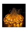 iGearPro Pumpkin Waterproof Decorative Dimmable