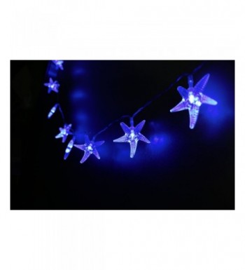 Mini Skater Starfish Decorative Decorations