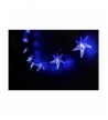 Mini Skater Starfish Decorative Decorations