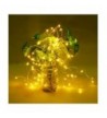 Latest Seasonal Lighting Outlet