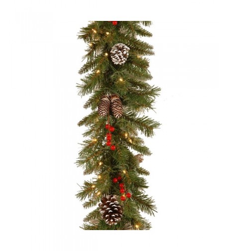 National Tree Frosted Garland FRB 9GLO 1