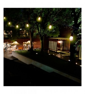 New Trendy Outdoor String Lights Online