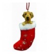 Pets ORN221 57 Airedale Stocking Ornament